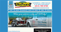 Desktop Screenshot of nitpickycleaning.com